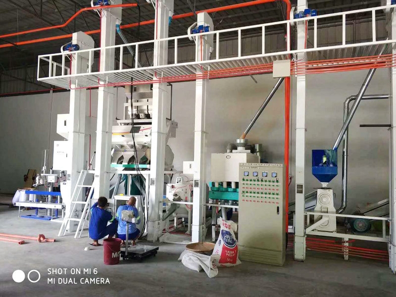 菲律賓日產30噸大米成套加工設備安裝完畢